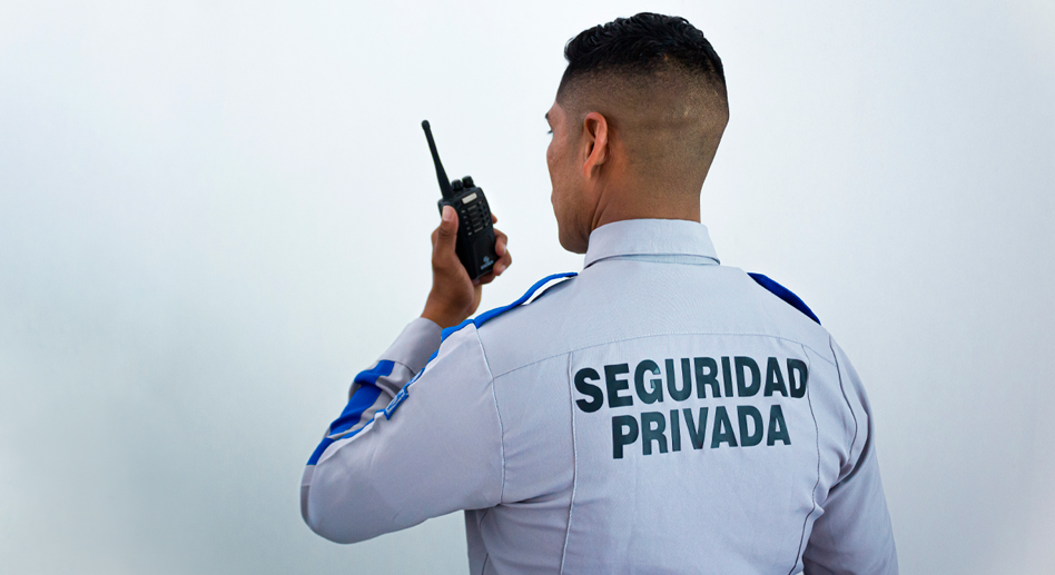 consultores-de-seguridad-capacitados